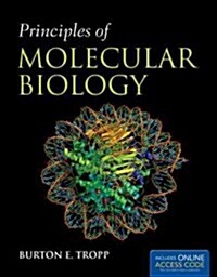 Principles of Molecular Biology (Paperback, New)
