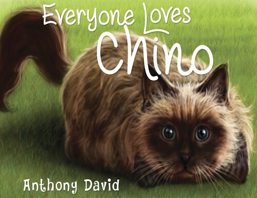 Everyone Loves Chino (Paperback)
