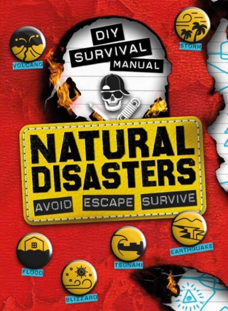 DIY Survival Manual: Natural Disasters : Avoid. Escape. Survive. (Paperback)