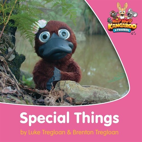 Special Things (Paperback)