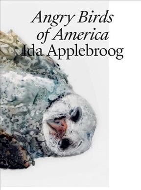 Angry Birds of America (Paperback)