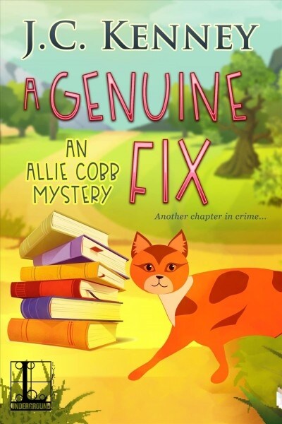 A Genuine Fix (Paperback)