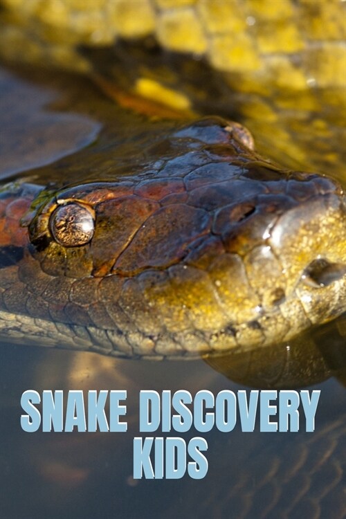 Snake Discovery Kids: Jungle Stories of Mysterious & Dangerous Snakes with Funny Pictures, Photos & Memes of Snakes for Children (Paperback)