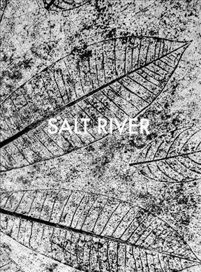 Sebastian Posingis: Salt River (Hardcover)