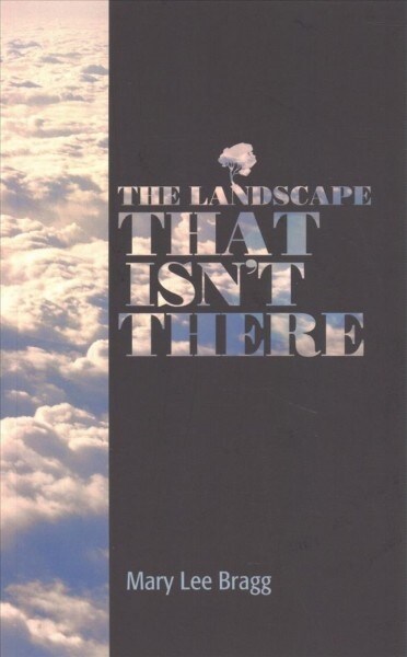 The Landscape That Isnt There (Paperback)