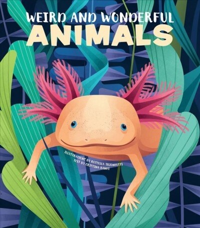 Weird and Wonderful Animals (Hardcover)