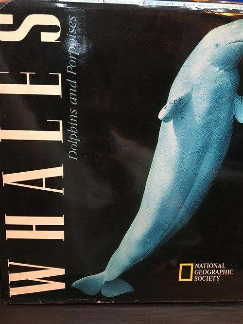 [중고] Whales (Hardcover)