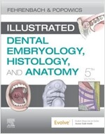 Illustrated Dental Embryology, Histology, and Anatomy (Paperback, 5)