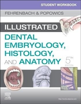 Student Workbook for Illustrated Dental Embryology, Histology and Anatomy (Paperback, 5)