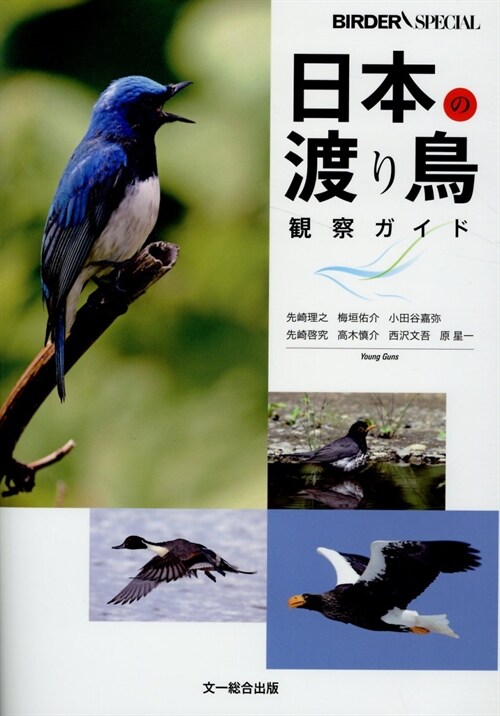 日本の渡り鳥觀察ガイド