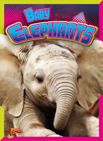 Baby Elephants (Hardcover)