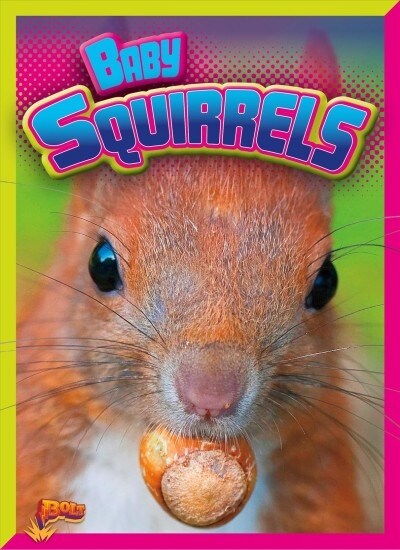 Baby Squirrels (Hardcover)