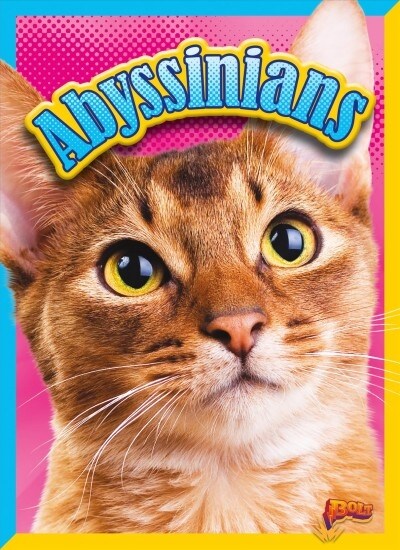 Abyssinians (Hardcover)