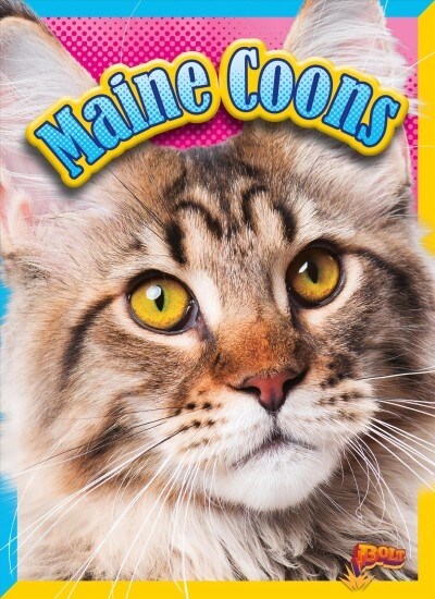 Maine Coons (Hardcover)