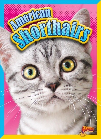 American Shorthairs (Hardcover)