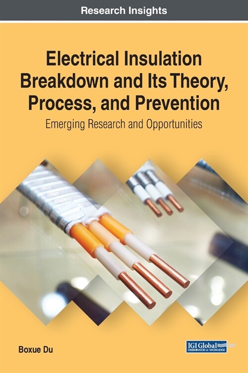 Electrical Insulation Breakdown and Its Theory, Process, and Prevention: Emerging Research and Opportunities (Hardcover)