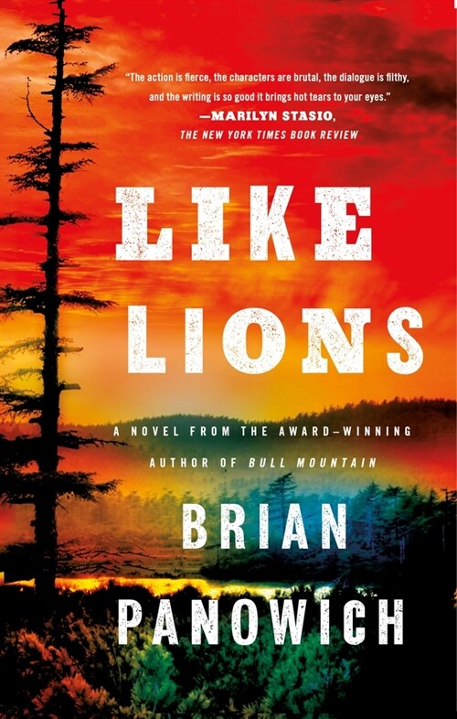 Like Lions (Paperback)