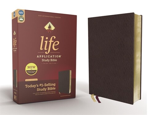 Niv, Life Application Study Bible, Third Edition, Bonded Leather, Burgundy, Red Letter Edition (Bonded Leather)