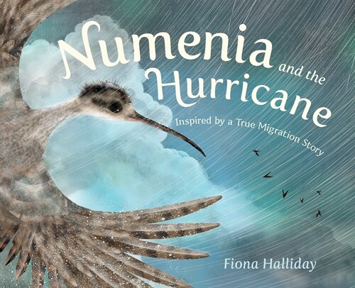 Numenia and the Hurricane: Inspired by a True Migration Story (Hardcover)