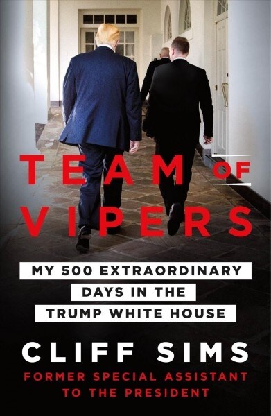 Team of Vipers (Paperback)