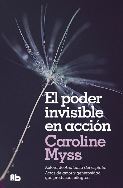 El Poder Invisible En Acci? / Invisible Acts of Power: The Divine Energy of a Giving Heart (Paperback)