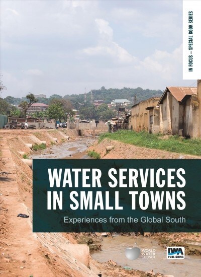 Water Services in Small Towns: Experiences from the Global South (Paperback)