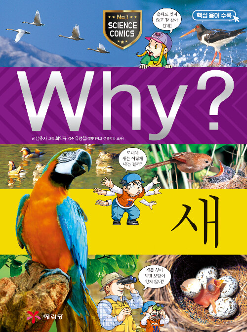 Why? 새