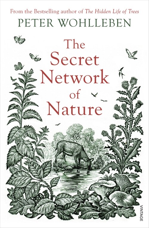 The Secret Network of Nature : The Delicate Balance of All Living Things (Paperback)