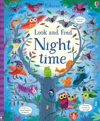 Look and Find Night Time (Hardcover)