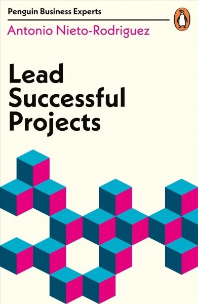 Lead Successful Projects (Paperback)