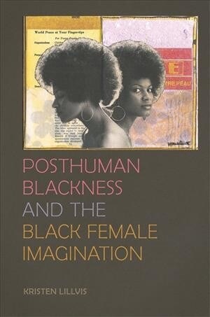 Posthuman Blackness and the Black Female Imagination (Paperback)