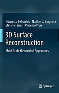 3D Surface Reconstruction: Multi-Scale Hierarchical Approaches (Hardcover, 2013)