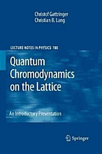 Quantum Chromodynamics on the Lattice: An Introductory Presentation (Paperback, 2010)