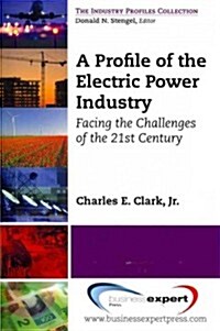 A Profile of the Electric Power Industry: Facing the Challenges of the 21st Century (Paperback, UK)