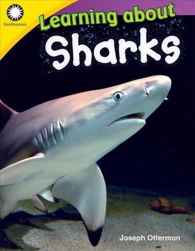 [중고] Learning about Sharks (Paperback)
