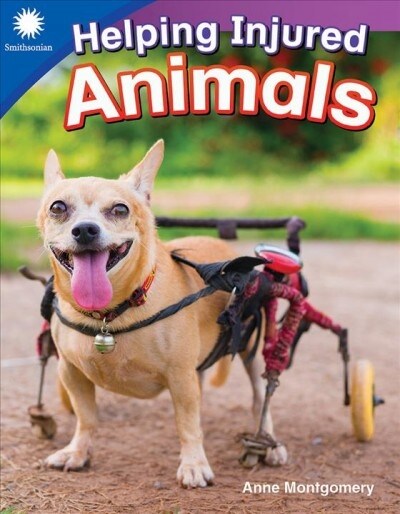 [중고] Helping Injured Animals (Paperback)