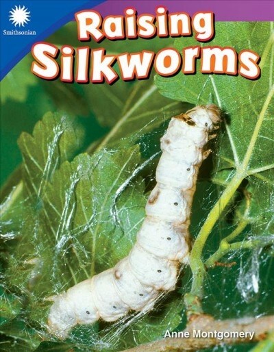 [중고] Raising Silkworms (Paperback)