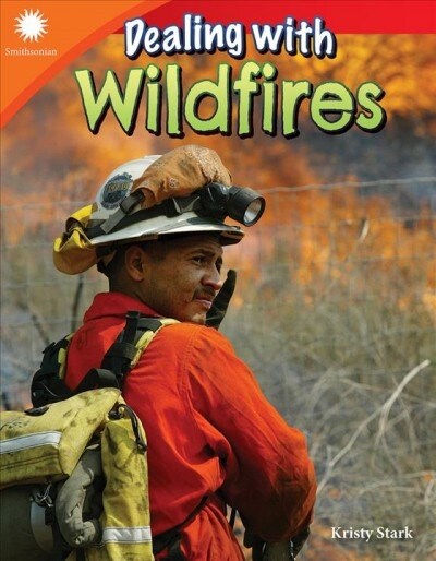 Dealing with Wildfires (Paperback)