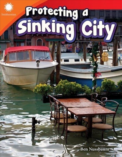 Protecting a Sinking City (Paperback)
