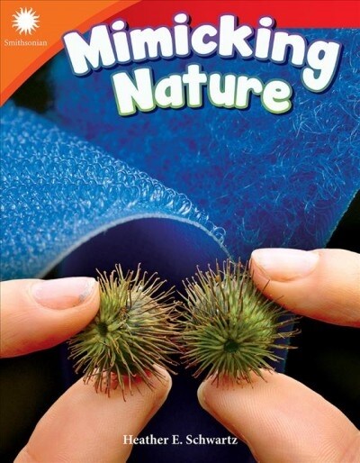 Mimicking Nature (Paperback)