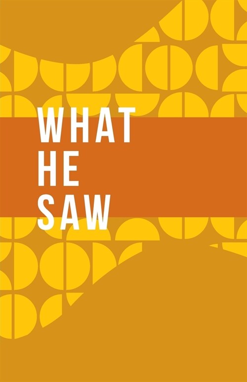What He Saw (Paperback)