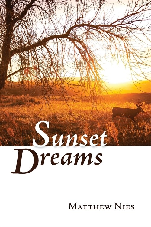 Sunset Dreams (Paperback)