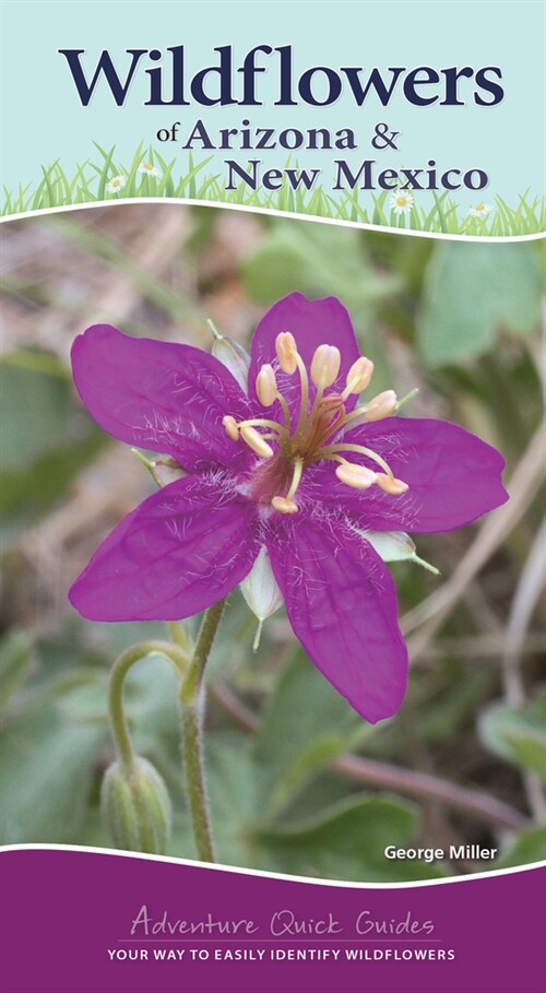 Wildflowers of Arizona & New Mexico: Your Way to Easily Identify Wildflowers (Spiral)