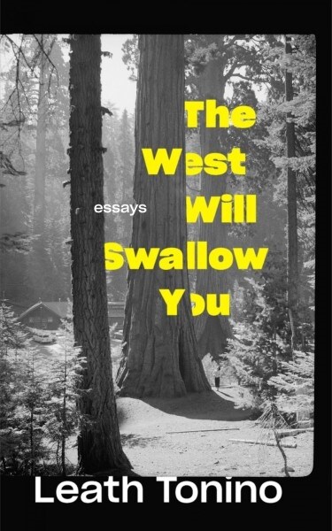The West Will Swallow You: Essays (Paperback)