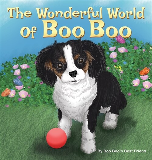 The Wonderful World of Boo Boo (Hardcover)