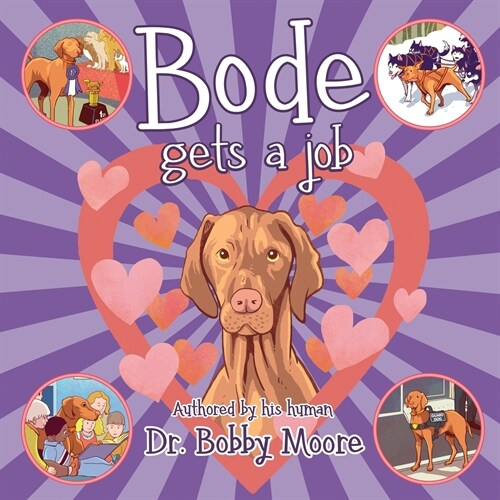 Bode Gets a Job (Paperback)