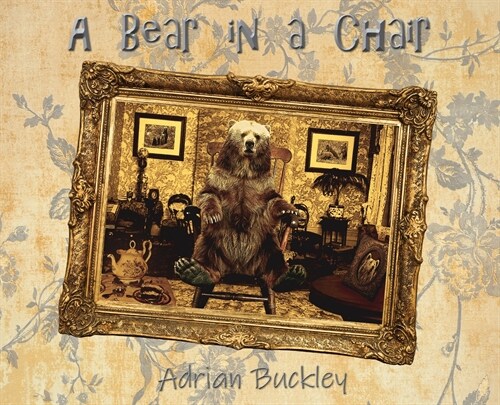A Bear in a Chair (Hardcover)