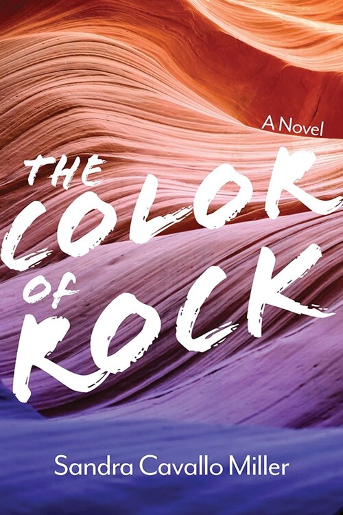 The Color of Rock: A Novel Volume 1 (Hardcover)