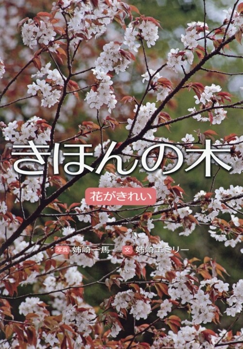 きほんの木 花がきれい