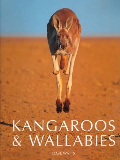 Kangaroos & Wallabies of Australia (Hardcover)